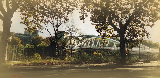 HFF to You All: Ottobre Romano: Ponte della Musica