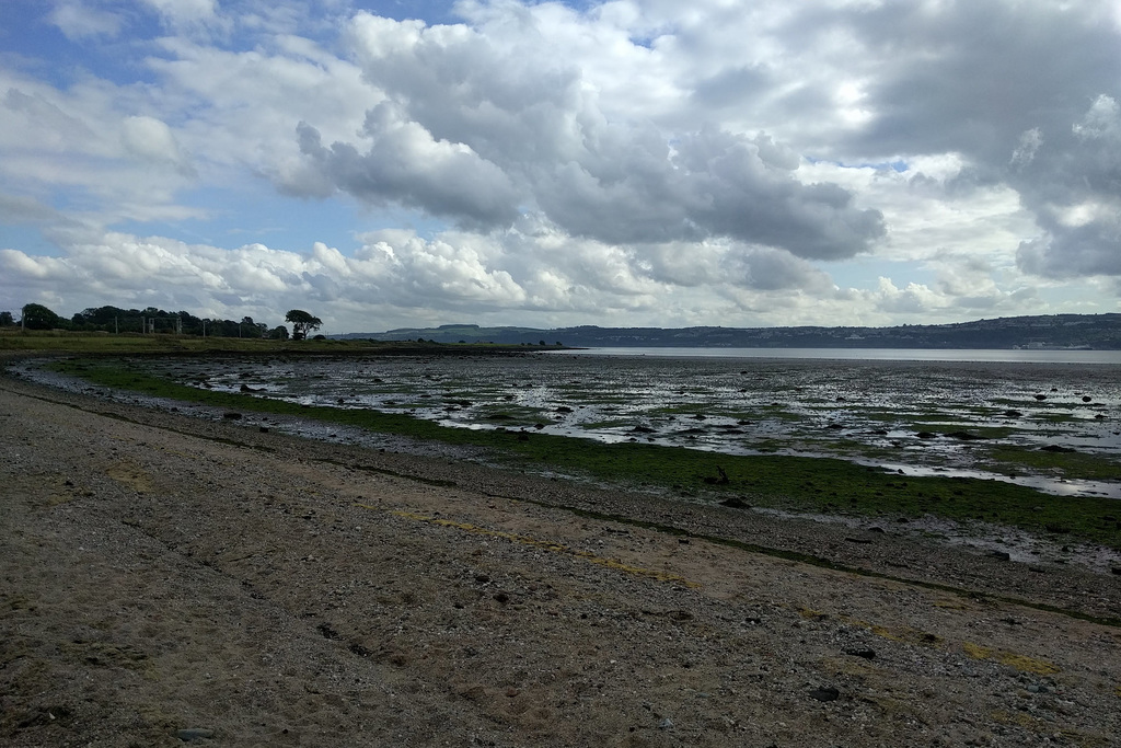 Ardmore Beach