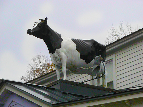 ipernity: The old Creamery Grocery and Deli Store with 1 PIP - by Eva ...