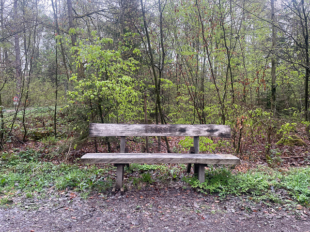 Walk 22.04.2025 No06