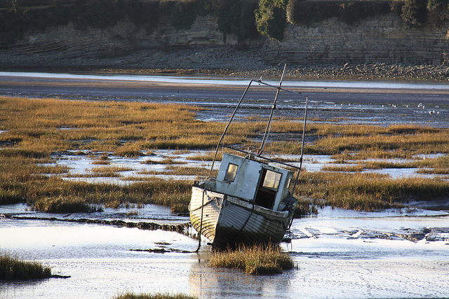 On the mud