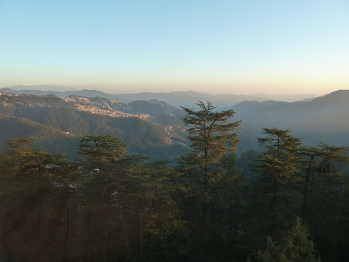 Trees and mountains