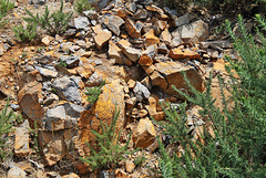 Pico Ruivo do Paúl da Serra - Farbiges Gestein am Wegesrand