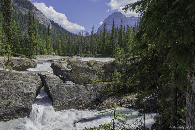 Natural Bridge, Kicking Horse River ... P.i.P. (© Buelipix)