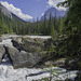 Natural Bridge, Kicking Horse River ... P.i.P. (© Buelipix)