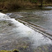 Lathkill weir