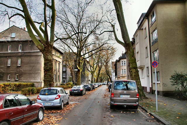 Hammerschmidtstraße (Gelsenkirchen-Bulmke-Hüllen) / 14.11.2020