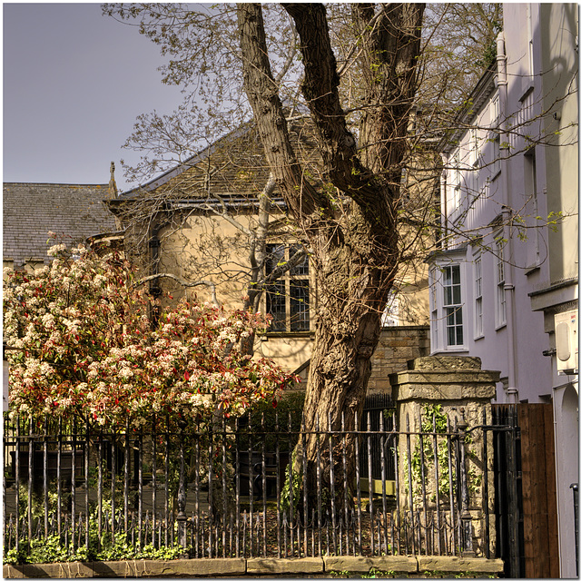 Lincoln College Garden, Oxford