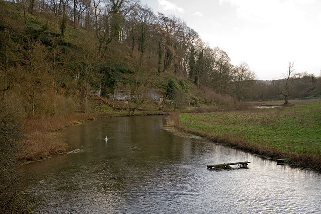 River Lathkill from Conksbury Bridge (2)