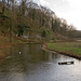 River Lathkill from Conksbury Bridge (2)