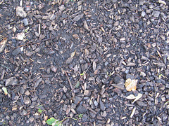 Rindenmulch