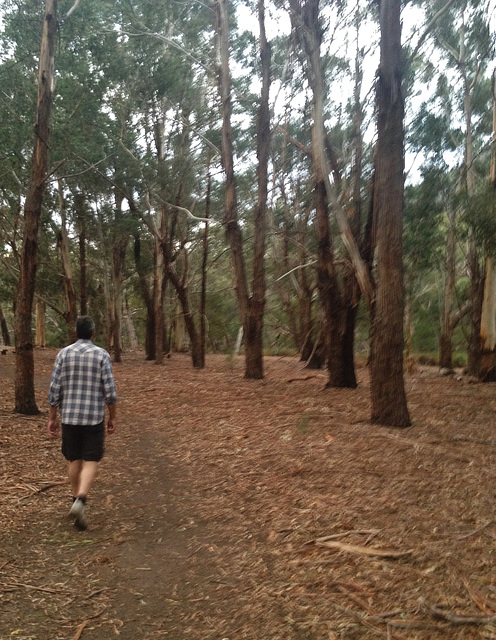 dusk in Halls Gap