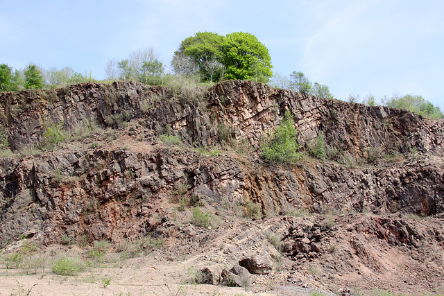 Blaengwynlais Quarry