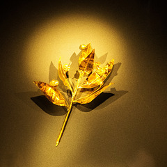 The Archaeological Museum, Gold blossomed myrtle