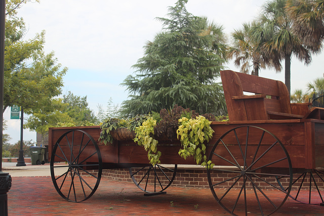 A unique planter !!