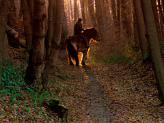 Angela,with here Horse