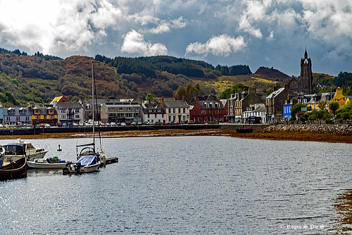 Across the Harbour