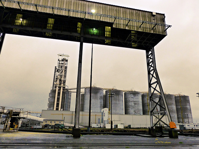 Getreidebrücke  und Silos im Hafen