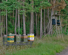Bienenbeute mit unbesetztem Wachposten ( 3 PiP )
