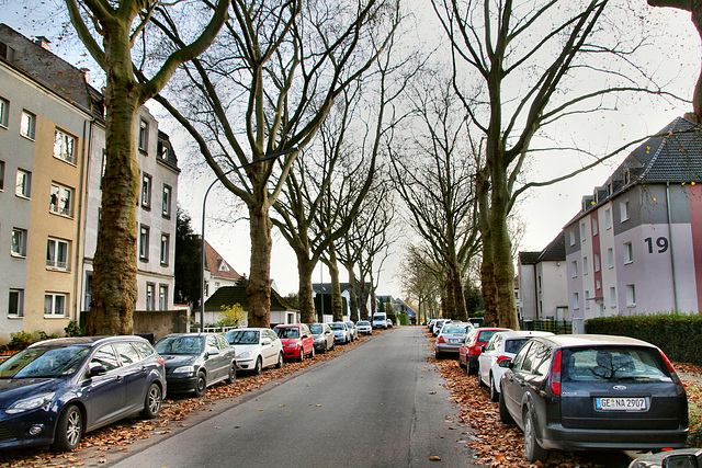 Hohenstaufenallee (Gelsenkirchen-Bulmke-Hüllen) / 14.11.2020