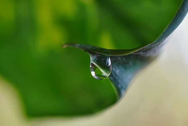 Es geht eine Träne auf Reisen - A tear goes on its journey