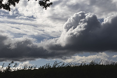 2025 365-201 2025 365-201