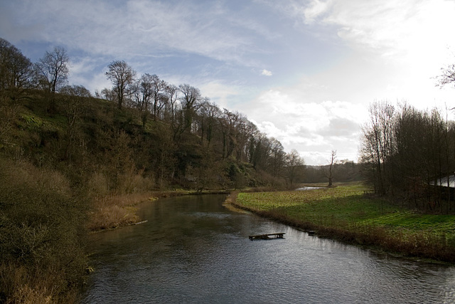 River Lathkill from Conksbury Bridge (1)