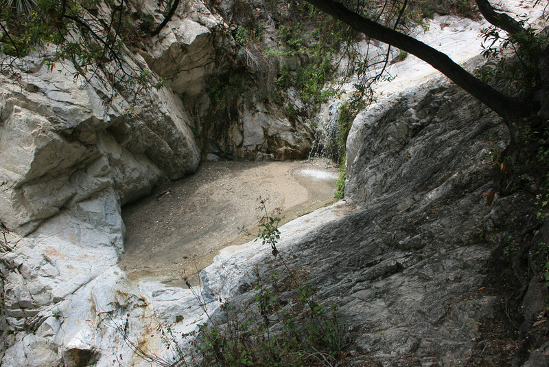 IMG 0422