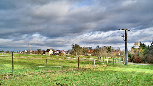 Fichtenberg Langert