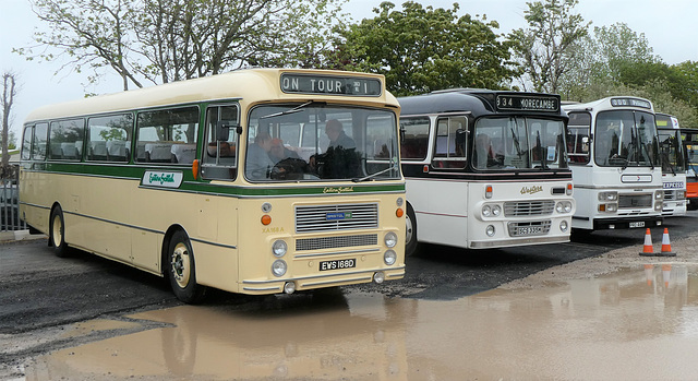 Preserved coaches at the RVPT Rally in Morecambe - 26 May 2019 (P1020439)