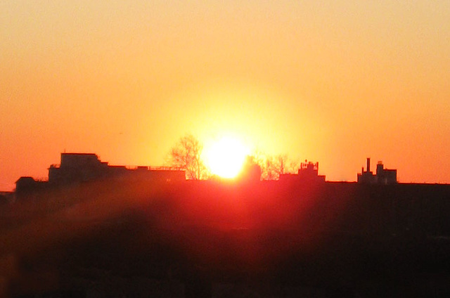 Sunrise Closeup