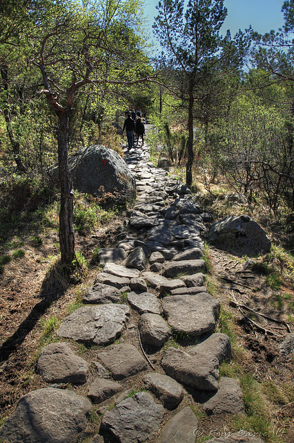 Rugged path...