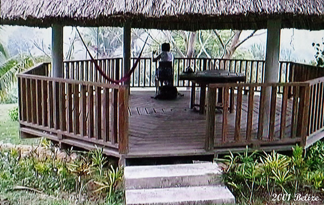 19 Bird Watching on Viewing Rotunda