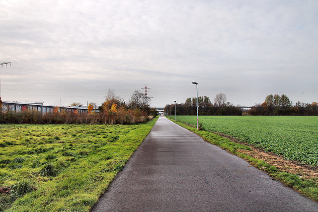 Königsborner Straße (Unna) / 26.11.2022