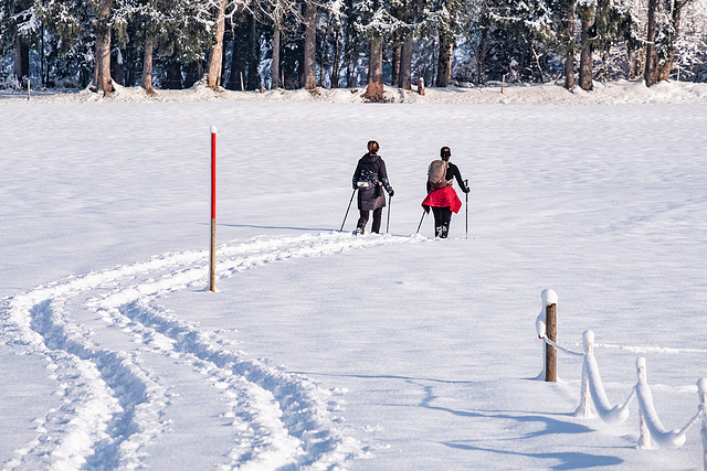 Snowshoe Hikers