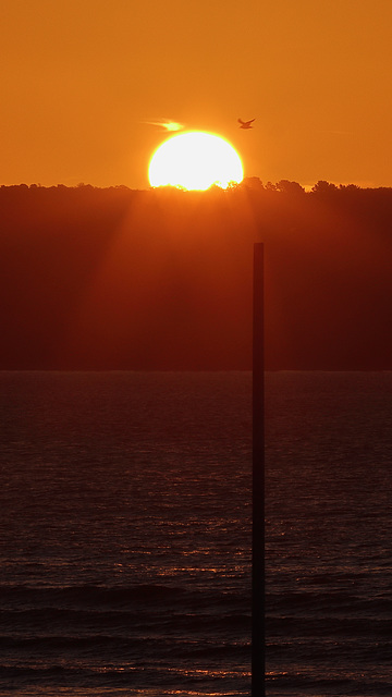EOS 90D Peter Harriman 05 45 27 06847 jurassicSunrise dpp