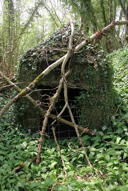 Gelli Quarry Blast refuge