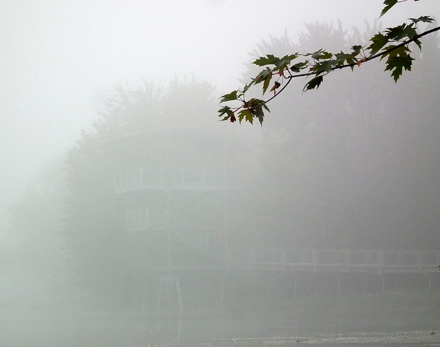 HFF friday dans la brume, in the fog