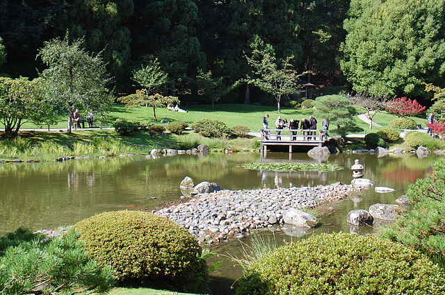 Japanese Garden