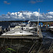 20190902 5682CPw [D~VR] Boote, Hafen, Boddenland, Müggenburg