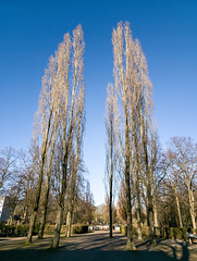 Köln Lindenthal