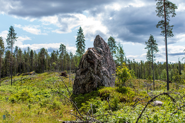 Und mitten im Wald steht ein Stein, ...