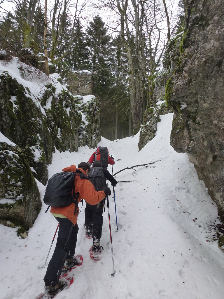 20150101 -03 Raquettes Vercors (137) al