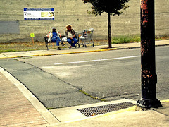 Bench regulars