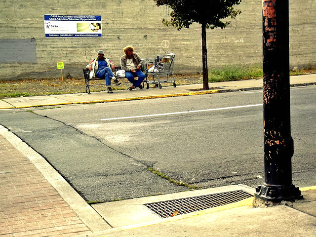 Bench regulars