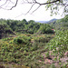 Fforest-Fawr Quarry