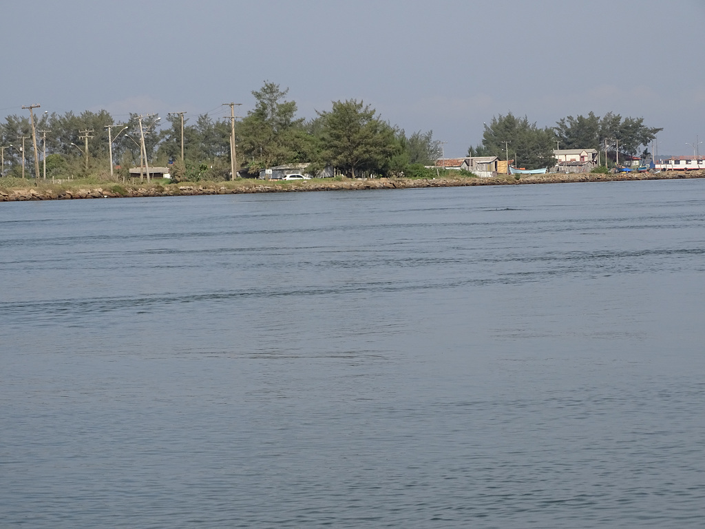 DSC05041