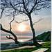 Bench in front of low tide - HBM