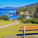Bench with a view