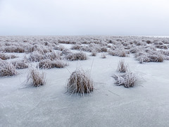 Cold, bleak and frosty